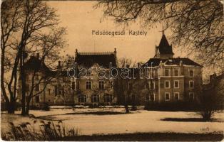 Felsősegesd (Segesd), Gróf Széchenyi kastély télen (EK)