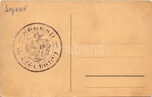 Felsősegesd (Segesd), Gróf Széchenyi kastély télen (EK)