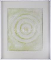 Hajdú László (1938-): Gyűrűzés, 2017. Akril, formázott vászon. Jelezve középen lent. Hátoldalán autográf felirattal. 52x43 cm. Üvegezett fakeretben.