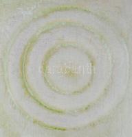 Hajdú László (1938-): Gyűrűzés, 2017. Akril, formázott vászon. Jelezve középen lent. Hátoldalán auto...