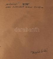 Hajdú László (1938-): Gyűrűzés, 2017. Akril, formázott vászon. Jelezve középen lent. Hátoldalán auto...