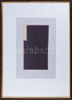 Hajdú László (1938-): Elbukó, 2023. Szitanyomat, papír. Jelzett. Művészpéldány EA 1/1 számozással. 44,5x29,5 cm. Üvegezett fakeretben.