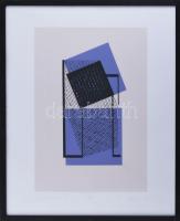 Hajdú László (1938-): Gályavászon a tengeren, 2023. Szitanyomat, papír. Jelzett. Művészpéldány EA 2/4 számozással. 42,5x29 cm. Üvegezett fakeretben.