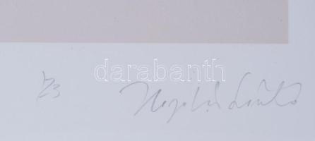 Hajdú László (1938-): Gályavászon a tengeren, 2023. Szitanyomat, papír. Jelzett. Művészpéldány EA 2/...