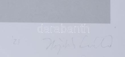 Hajdú László (1938-): Deklináció, 2023. Szitanyomat, papír. Jelzett. Művészpéldány EA 1/4 számozássa...