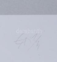 Hajdú László (1938-): Deklináció, 2023. Szitanyomat, papír. Jelzett. Művészpéldány EA 1/4 számozássa...