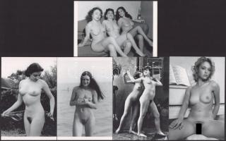 cca 1969 előtt készült, szolidan erotikus felvételek pajkos hölgyekről, 5 db modern nagyítás, jelzés nélkül, 15x10 cm és 10x15 cm