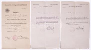 1924-1929 Budapesti Önkéntes Mentő Egyesület okiratai, 7 db, Bíró Béla orvostanhallgató, majd orvos részére, az egyiken Virosztek Győző igazgató, főorvos aláírásával, valamint azon Körmöczi Emil (1868-1949) előadó főorvos, a többin ugyan csak Körmöczi Emil igazgató főorvos belügyógyász aláírásaival, változó állapotban.
