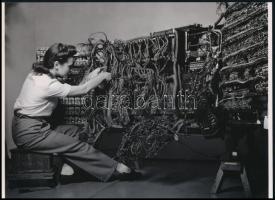 1958 Berenice Abbott (1898-1991) amerikai fotográfus felvétele egy hölgyről, aki nem egy tyúkot belezett ki a vasárnapi ebédhez, hanem egy IBM könyvelőgép zúzáját keresi, 1 db modern nagyítás, jelzés nélkül, 15x21 cm