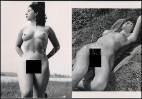 cca 1974 "Hölgyek napfürdőznek", szolidan erotikus felvételek, 2 db modern nagyítás, jelzés nélkül, 21x15 cm