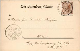 1898 Gloggnitz, general view (EK)