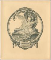 Franz von Bayros (1866-1924): Par avi cigno (Léda és a hattyú, erotikus kisgrafika). Heliogravür, pa...