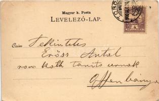 1901 Torda, Turda; Cellulózgyár, Fő tér, Mendel L. sörgyára. Botár J. fényképész kiadása / cellulose...