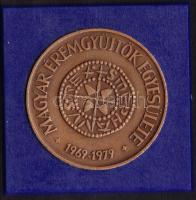 1979. "MÉE - I. István dénára" matt Br emlékérem (2x)T:1