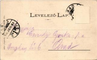 1905 Vajdahunyad, Hunedoara; vár. Adler fényirda / castle (EK)