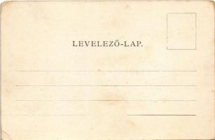 Vajdahunyad, Hunedoara; látkép, vár. Schäser A. fénynyomdai műintézete / general view, castle (fl)