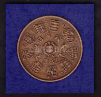 1979. "MÉE - I. István dénára" matt Br emlékérem (2x)T:1