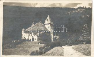 Radegund castle photo