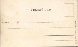 Vajdahunyad, Hunedoara; Gyár, igazgatósági épület. Spörl Gusztáv kiadása / factory directorate build...