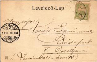 1903 Tusnádfürdő, Baile Tusnad; látkép. Adler Alfred felvétele / general view, spa (EK)