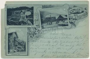1899 Tusnádfürdő, Baile Tusnad; vasútállomás, gőzmozdony, vonat, Stanescu villa, Konopasek villa este holdfényben. Adler A. / railway station, locomotive, train, villas at night in moonlight. Art Nouveau, floral (b)