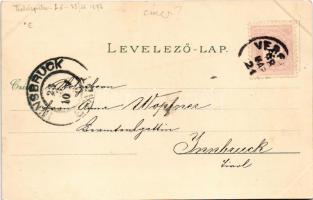 1898 Temesvár, Timisoara; Színház, Józsefvárosi zárda, Gyárváros, Kossuth tér, Jenő herceg tér, Loso...