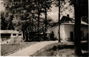 Horány (Szigetmonostor), Horány Gyöngye Szálló. Képzőművészeti Alap