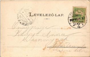 1903 Temesvár, Timisoara; Józsefvárosi zárda a templommal / nunnery, church (fl)