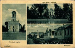 Szarvas, Római katolikus templom, Gróf Bolza Pál kastélya, Községháza (EB)