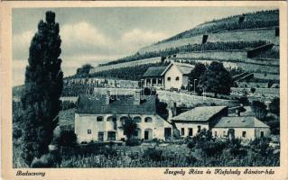1943 Badacsony, Kisfaludy Sándor és Szegedy Róza ház (EB)