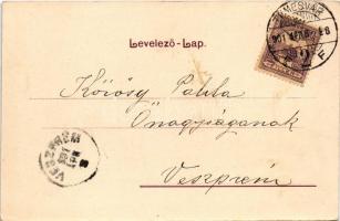 1901 Újszentes, Vadászerdő, Dumbravita, Santesti (Temesvár, Timisoara); M. kir. erdészeti szakiskola...