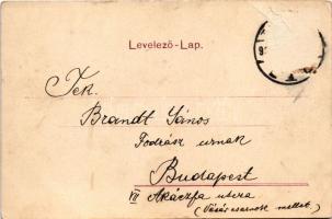 Temesvár, Timisoara; Hunyadi utca, üzletek. Polatsek-féle könyvkereskedés kiadása / street view, sho...