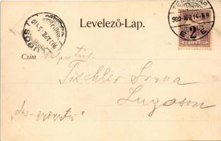 1900 Temesvár, Timisoara; Jenő herceg tér, Rukavina emlékmű, hirdetőoszlop. Hans Nachbargauer kiadás...