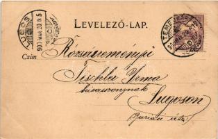 1900 Temesvár, Timisoara; Jenő herceg tér, Rukavina emlékmű, hirdetőoszlop. Hans Nachbargauer kiadás...