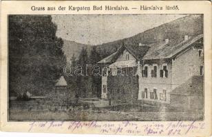 Hársfalva, Nelipino, Nelipyno (Szolyva, Svaliava); Rudolf várkastély / castle (fl)