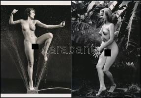 cca 1952 André de Dienes (korábban Ikafalvi-Dienes Andor György) (1913-1985) magyar - amerikai fotóriporter és fotóművész szolidan erotikus felvételei, 2 db modern nagyítás, jelzés nélkül, 21x15 cm