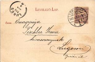 1900 Temesvár, Timisoara; Gyárváros, nyaraló a Béga csatorna mentén. Králicsek Béla kiadása / Bega r...