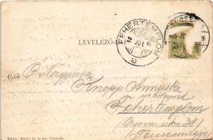 1905 Temesvár, Timisoara; Színház. Káldor Zs. és Társa kiadása / Theater / theatre (Rb)