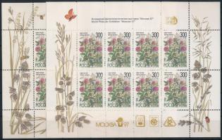 1995 Virág Mi 437 kisív + ugyanaz eltérő bélyegkiállítási kerettel