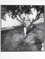 Rosalind Fox Solomon (1930 -2025): Fiú a fán. Capetown, South Africa 1988. Jelzett, pecséttel, számo...