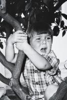 Rosalind Fox Solomon (1930 -2025): Fiú a fán. Capetown, South Africa 1988. Jelzett, pecséttel, számo...