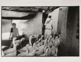 Mary Ellen Mark (1940-2015): Libaetetés Indiában (1981). Vintage fotóművészeti alkotás Zselatinos na...