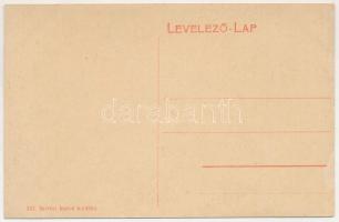 Érsekújvár, Nové Zámky; Vasúti fasor, kerékpáros. W. L. (?) 247. Szivesi kapus kiadása / railway all...