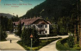 Barlangliget, Höhlenhain, Tatranská Kotlina (Tátra, Magas-Tátra, Vysoké Tatry); Szálloda / hotel (kis szakadás / small tear)