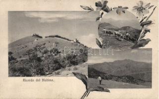 Bisbino mountain (fa)