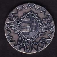 DN "Magyar Honvédség Parancsnoka, vezérkari főnök" fém emlékérem T:BU