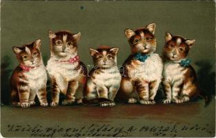 1906 Macskák / cats. Emb. litho (lyuk / pinhole)