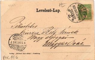 1903 Pozsony, Pressburg, Bratislava; látkép, vár, gőzhajó, rakpart. Bediene dich allein / general vi...