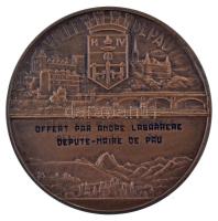 Franciaország 1900 k. "Ville de Pau / Henri IV" kétoldalas bronz emlékérem gravírozással. ...