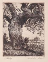 Batári László (1920-1997): Körtefa. Rézkarc, papír. Jelzett. 12,5x10 cm Üvegezett fakeretben. Lapszéli ázásnyomokkal.